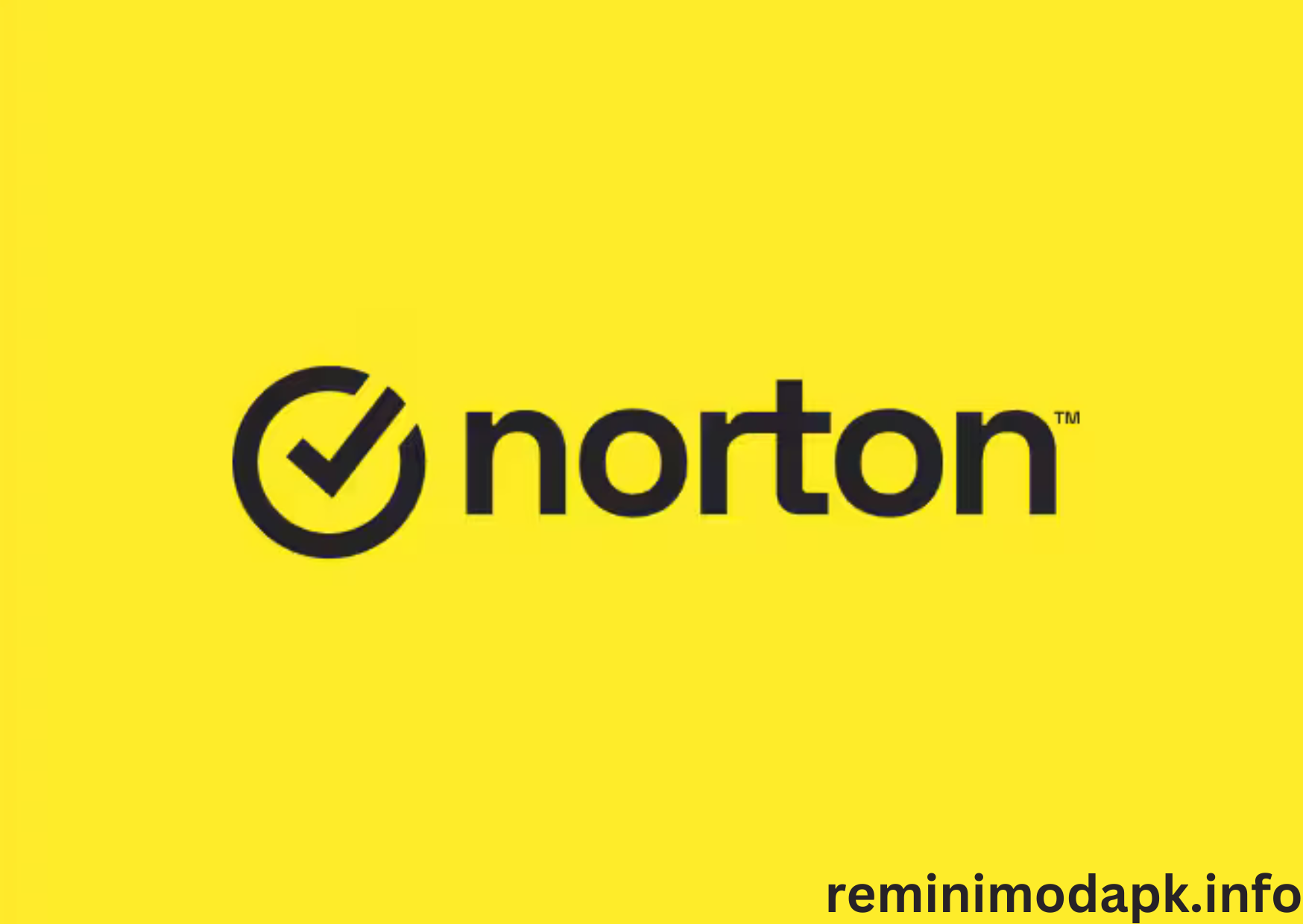 Norton image